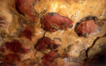 Cueva de Altamira - Imagen 4